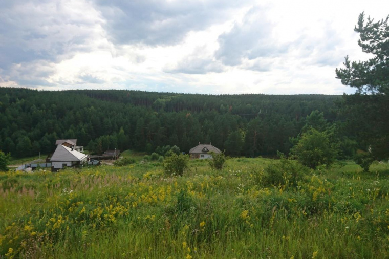 Земельный участок в Курской области
