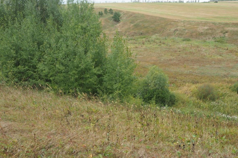 Земельный участок в селе Боринском