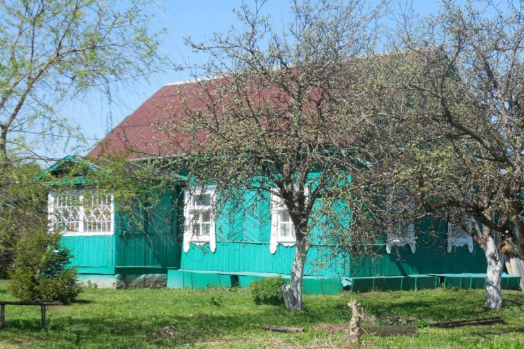 Дом в деревне Гостилицы 