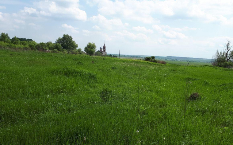 Земельный участок в городе Михайлове