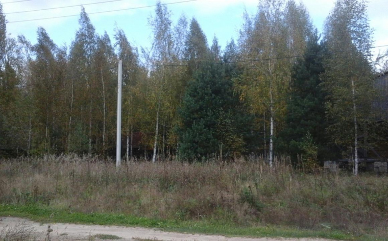 Земельный участок в Рязанской области