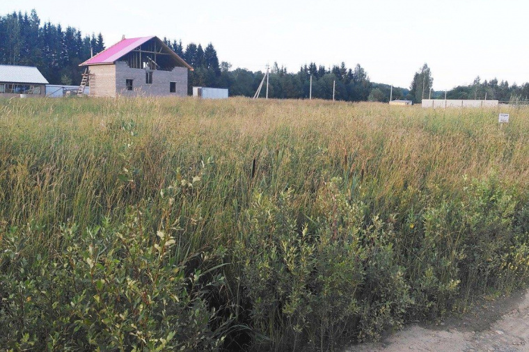 Земельный участок в Ленинградской области