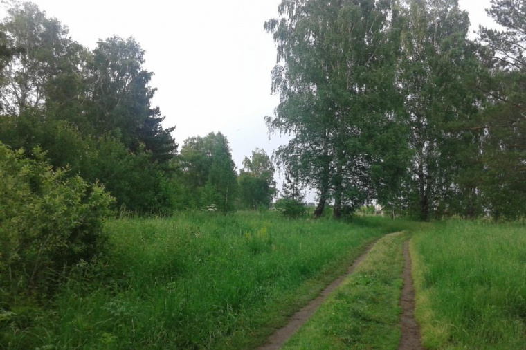 Земельный участок в городе Славгороде