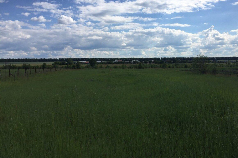 Земельный участок в селе Боринском