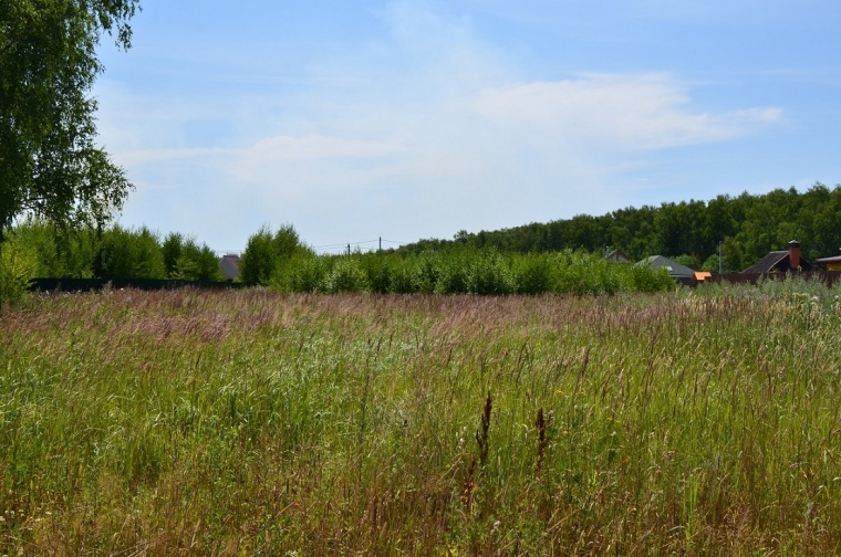 Земельный участок в деревне Татариновом 