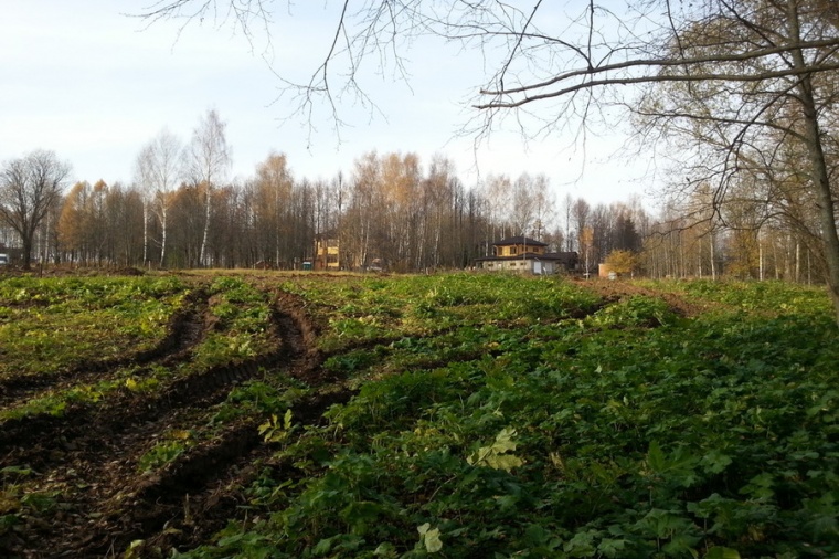 Земельный участок в деревне Кривцово 