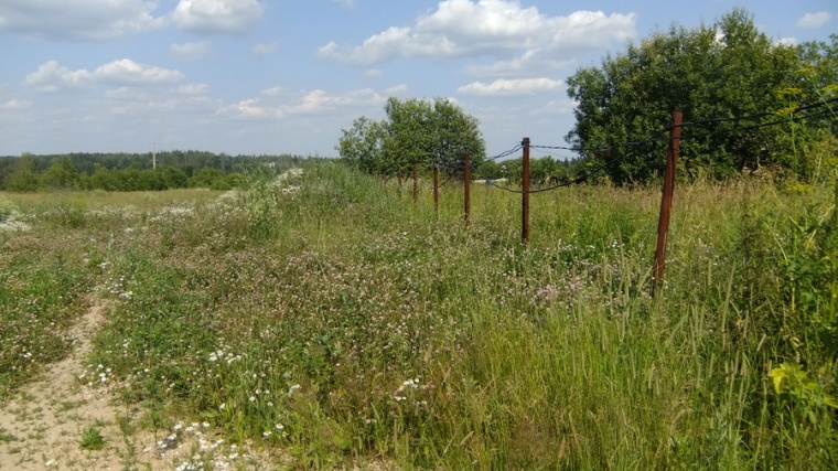 Земельный участок в деревне Мансурово 