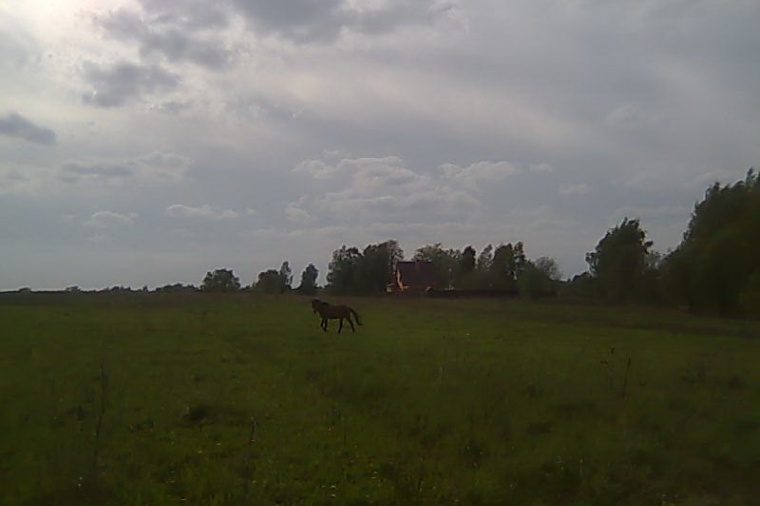 Земельный участок в деревне Доршево 