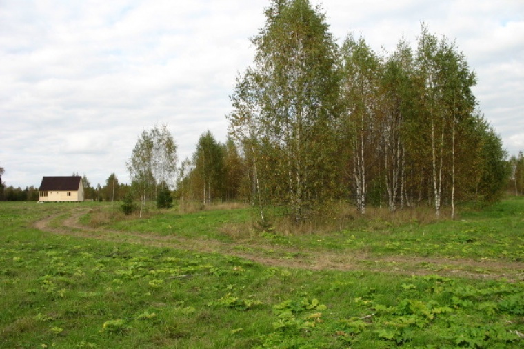 Земельный участок в деревне Хлотпево 