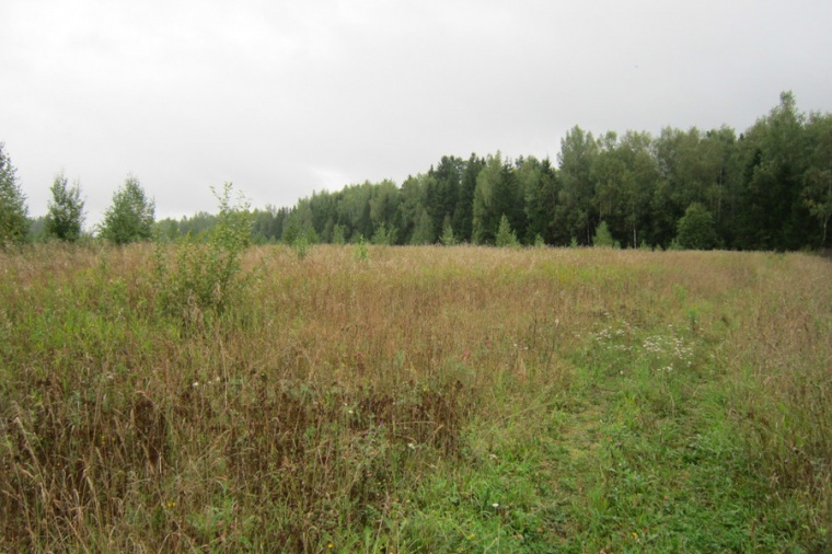 Земельный участок в деревне Повадино 