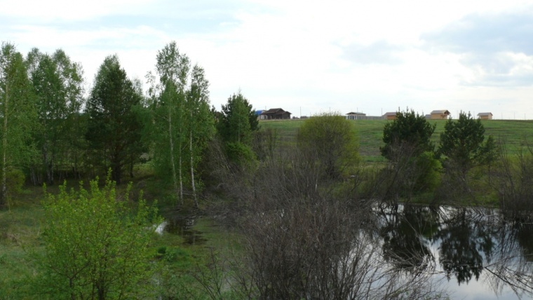 Земельный участок в селе Устюге