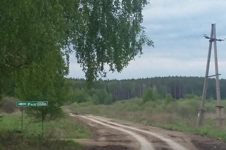 Земельный участок в селе Щелкуне