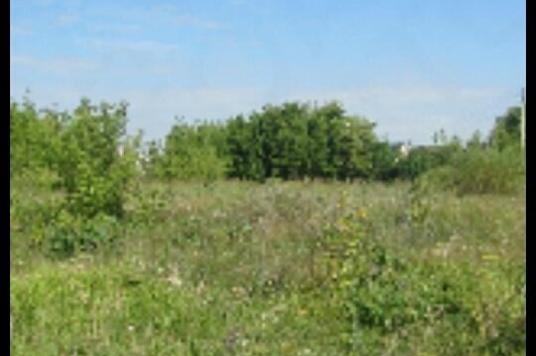 Земельный участок в городе Елизово
