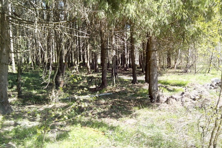 Земельный участок в Солнечногорском районе