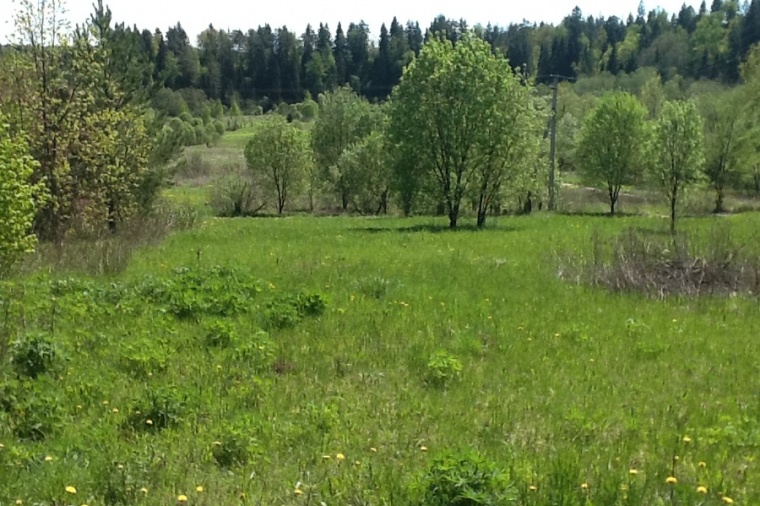 Земельный участок в деревне Телепнево 