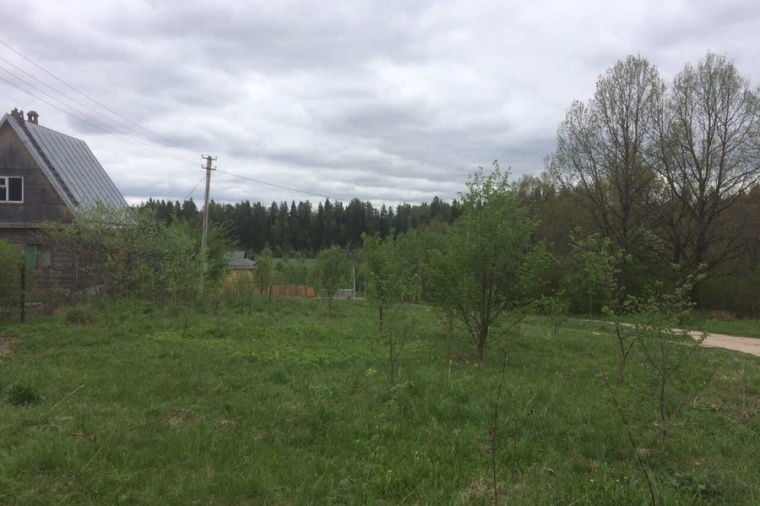 Земельный участок в деревне Телепнево 