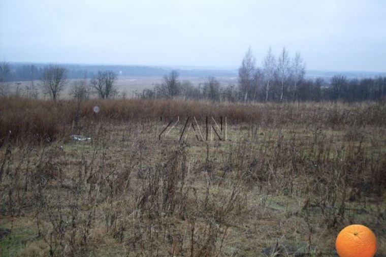 Земельный участок в деревне Лыщикове 