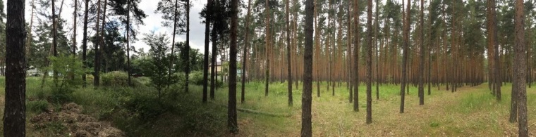 Земельный участок в городе Воронеже