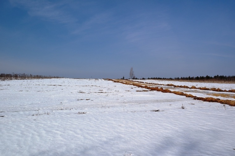 Земельный участок в деревне Андрейково 