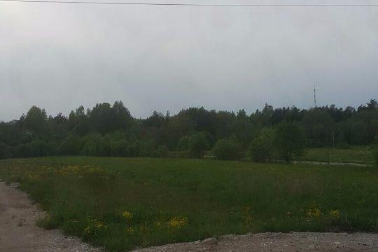 Земельный участок в городе Луга