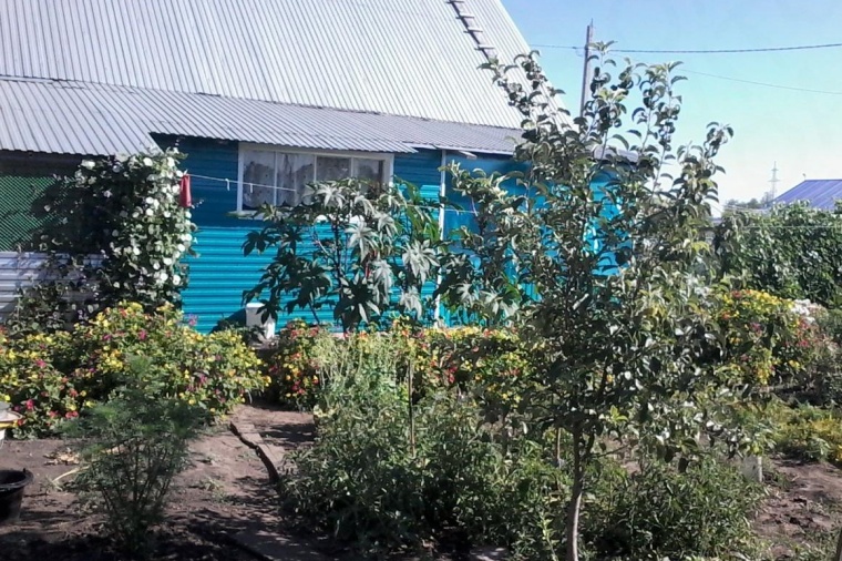 Дом в селе Красноармейском