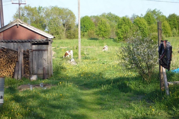 Земельный участок в городе Олонце