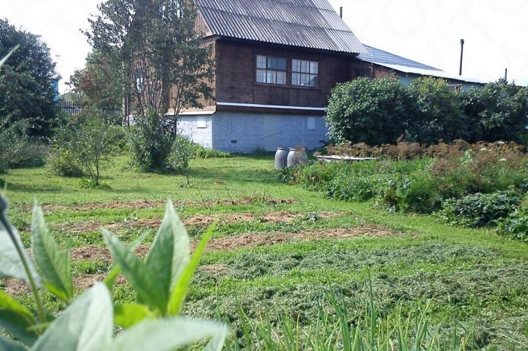 Дом в селе Кожевниково