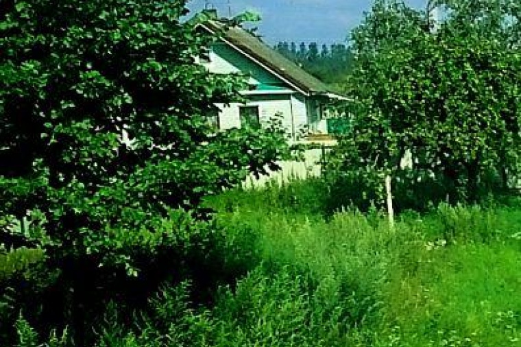 Дом в деревне Егольник 