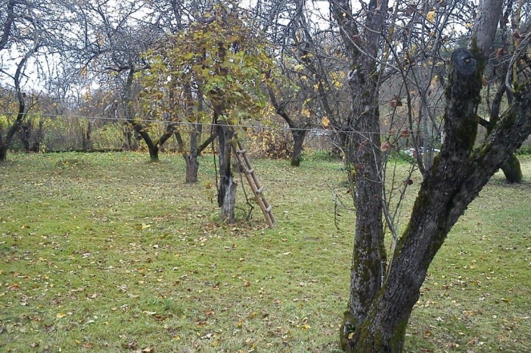 Дом в Псковской области