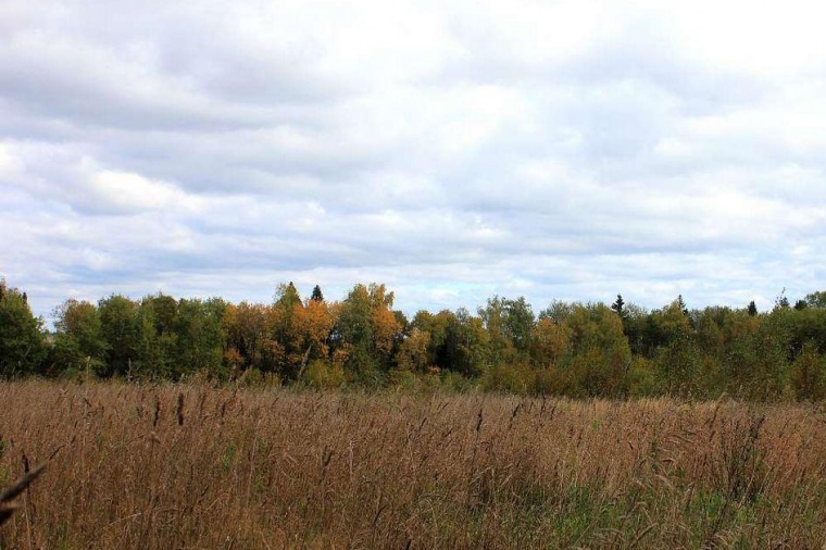 Земельный участок в деревне Есиповом 
