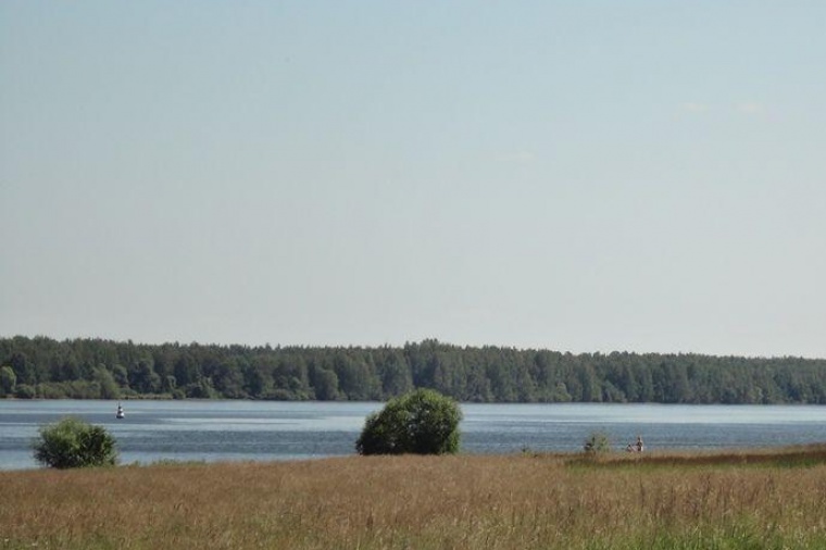 Земельный участок в Костромском районе
