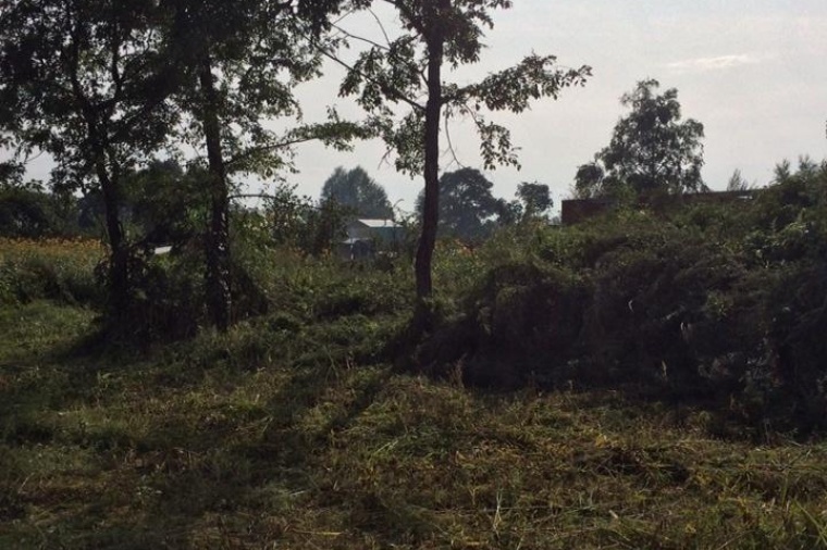 Земельный участок в городе Биробиджане