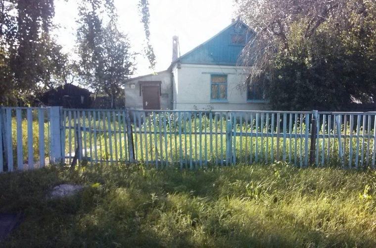 Дом в селе Боринском
