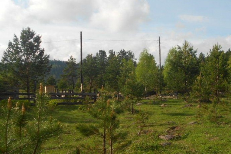 Земельный участок в село Усть-Пыжа