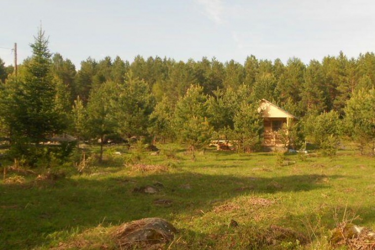 Земельный участок в село Усть-Пыжа