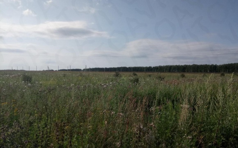 Земельный участок в городе Луховицах