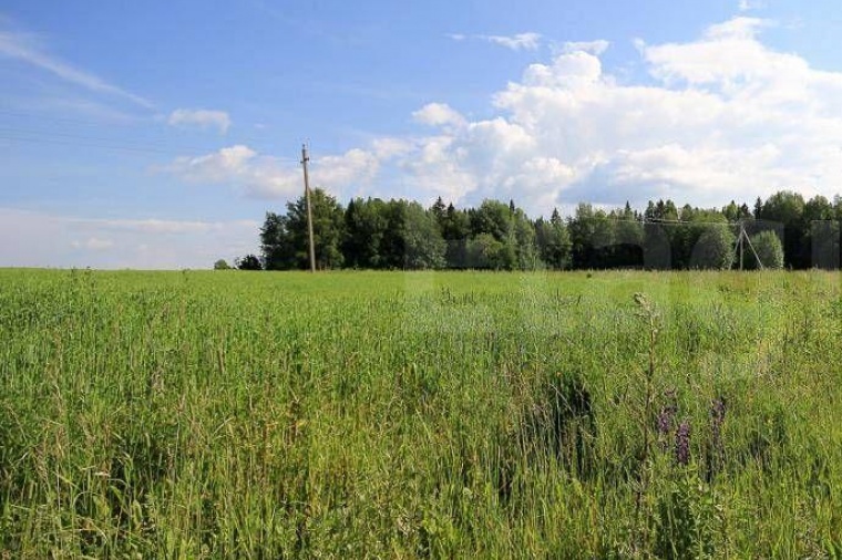 Земельный участок в деревне Скобелевке 