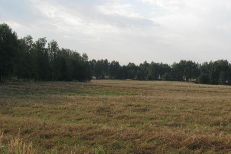 Земельный участок в деревне Сосновке 
