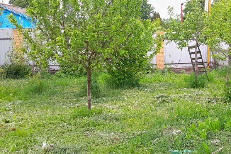 Дом в Орловской области